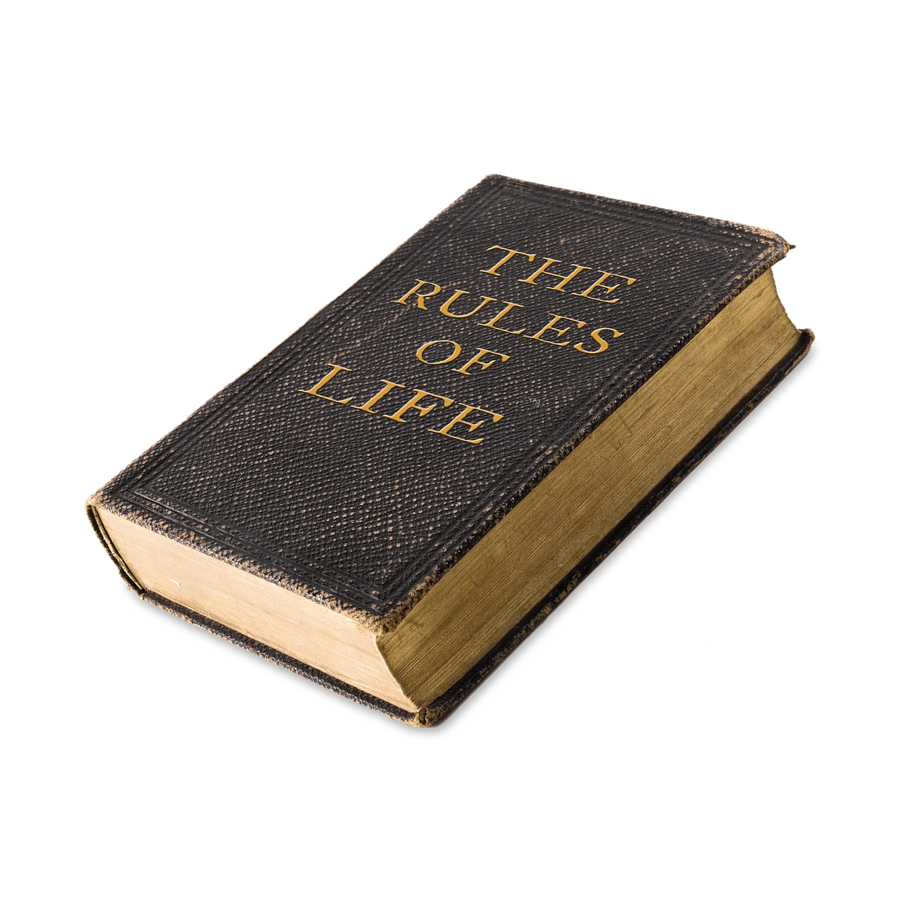 Accélérer Votre Temps de Réaction au Jeu de Dames